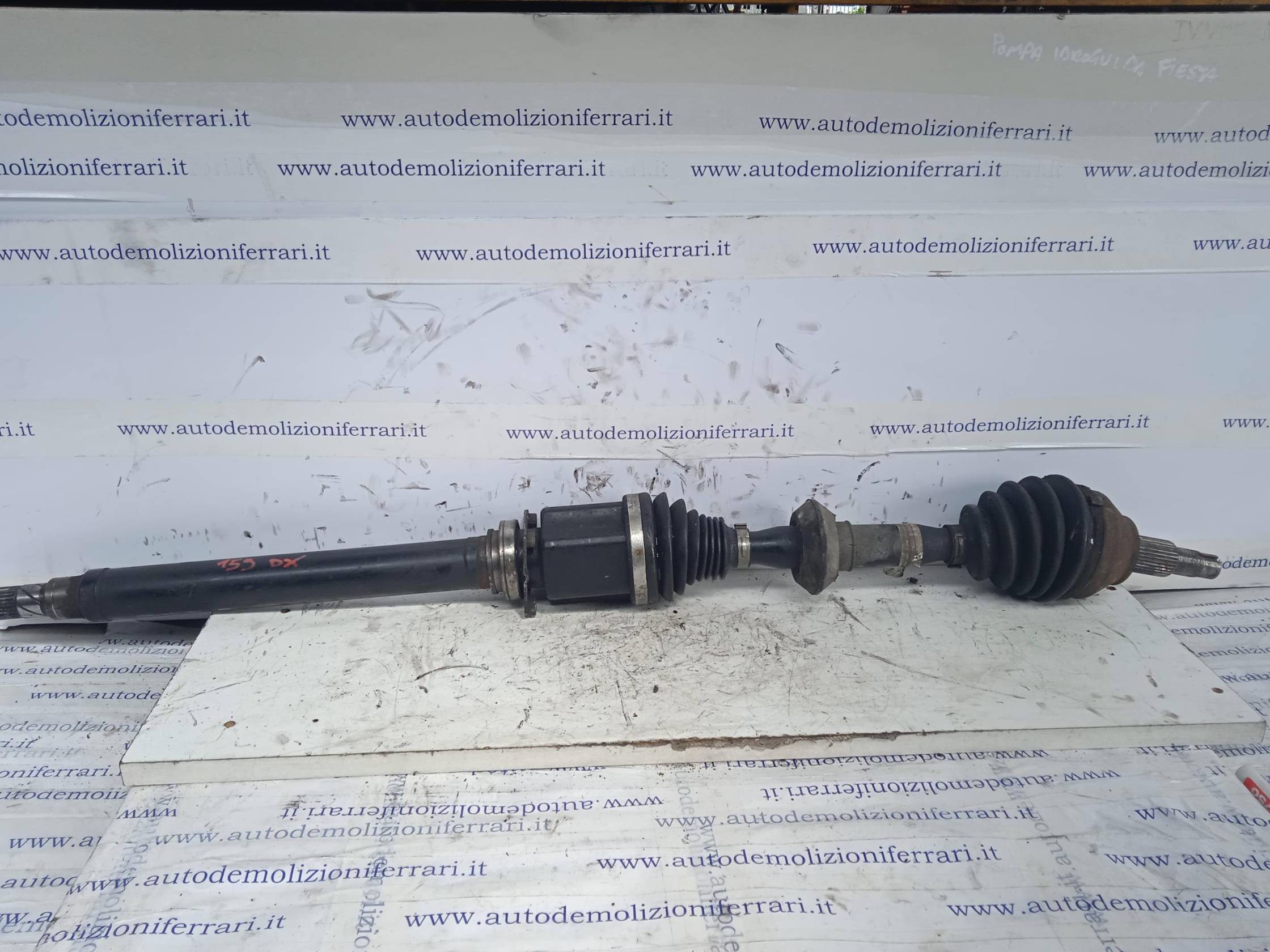 Semialbero ant. compl. dx.